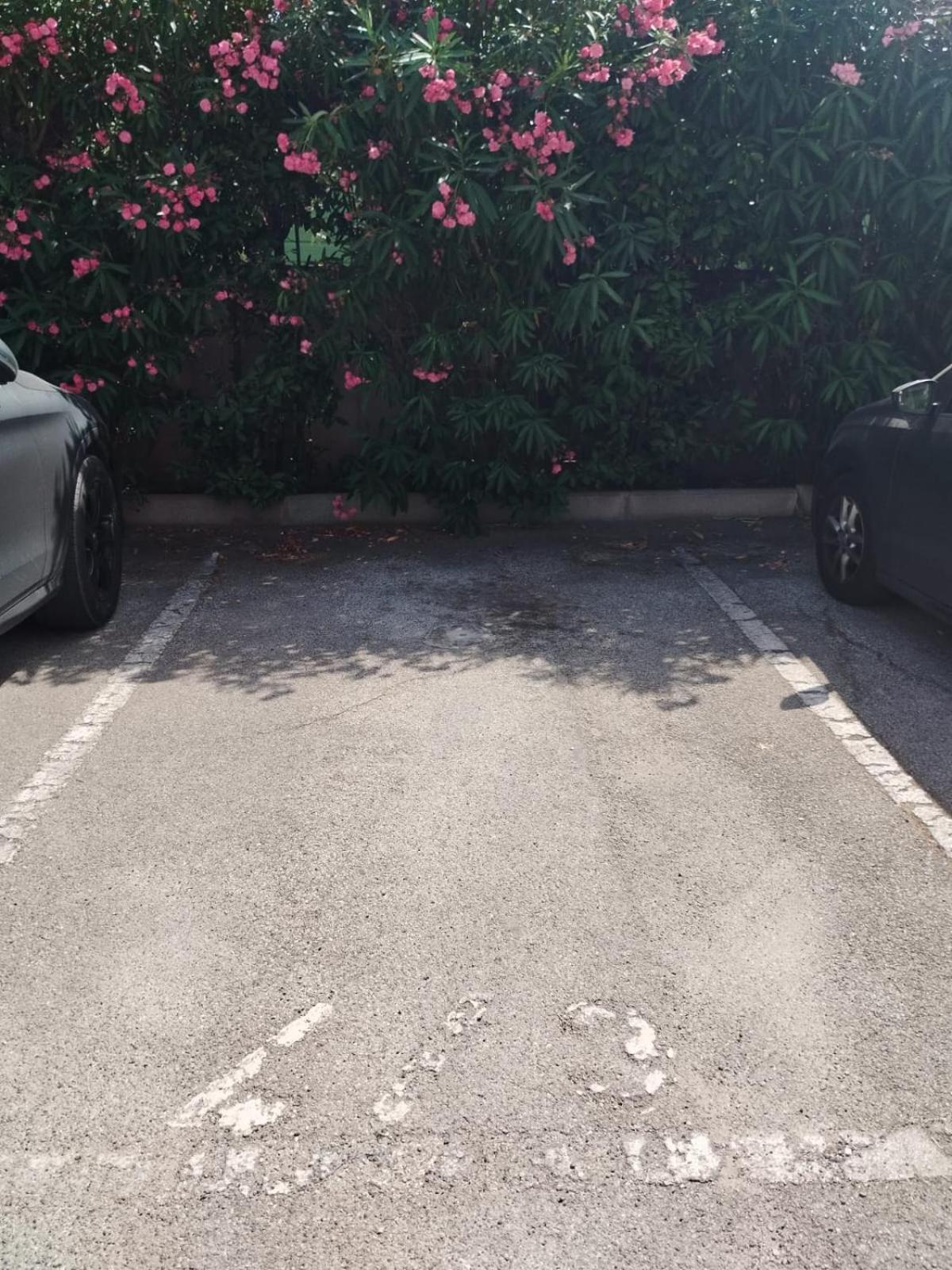 Attico Stella Apartment Bari Bagian luar foto